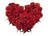 اضغط على الصورة لعرض أكبر.&nbsp;

الإسم:	Red Roses Heart-839609.jpg&nbsp;
مشاهدات:	685&nbsp;
الحجم:	16.7 كيلوبايت&nbsp;
الهوية:	173