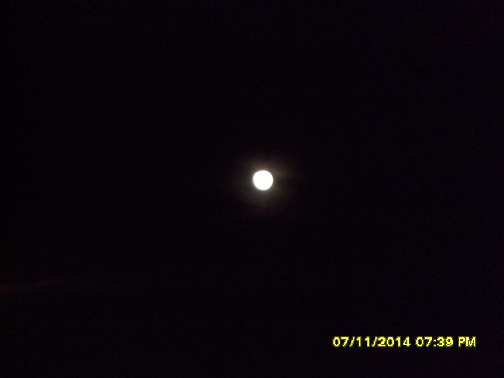 الاســـم:	SAM_1461.jpg
المشاهدات: 1866
الحجـــم:	30.1 كيلوبايت