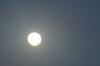 اضغط على الصورة لعرض أكبر.&nbsp;

الإسم:	CSC_0646.JPG&nbsp;
مشاهدات:	1328&nbsp;
الحجم:	82.3 كيلوبايت&nbsp;
الهوية:	2703