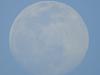 اضغط على الصورة لعرض أكبر.&nbsp;

الإسم:	DSC00709.jpg&nbsp;
مشاهدات:	537&nbsp;
الحجم:	139.4 كيلوبايت&nbsp;
الهوية:	6886