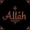 الصورة الرمزية أميرة الإنصارية